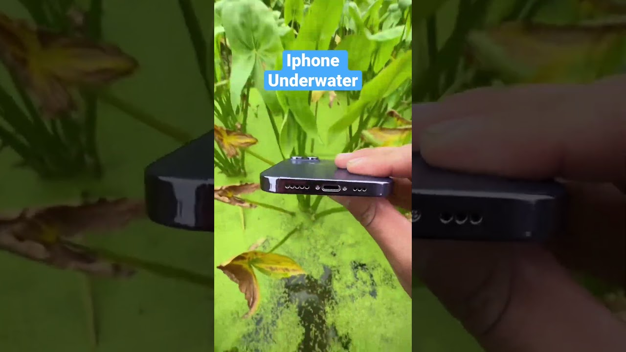 Underwater photography 😱|iphone 14 promax #youtubeshorts #underwater #iphone