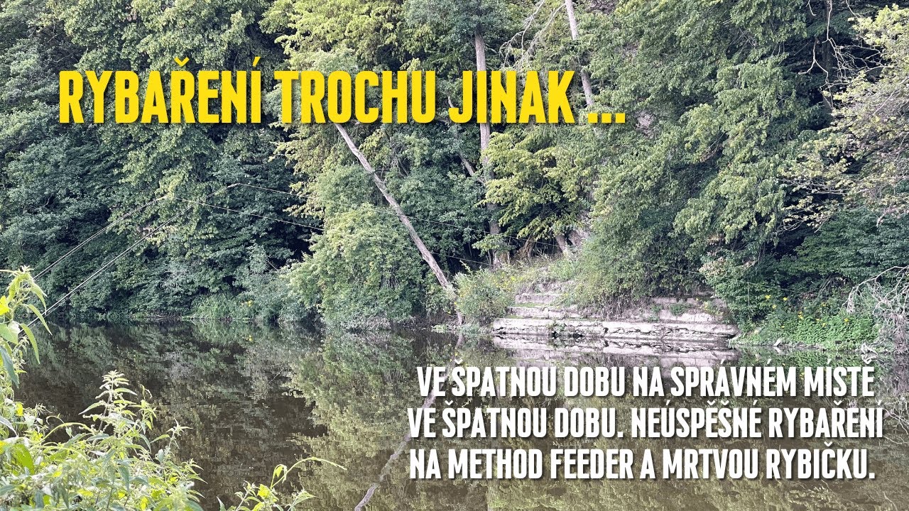 V nesprávný čas na správném místě | Lov na mrtvou rybku a method feeder na Sázavě