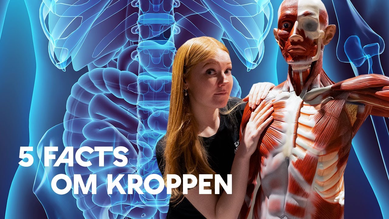 5 forbløffende facts om kroppen