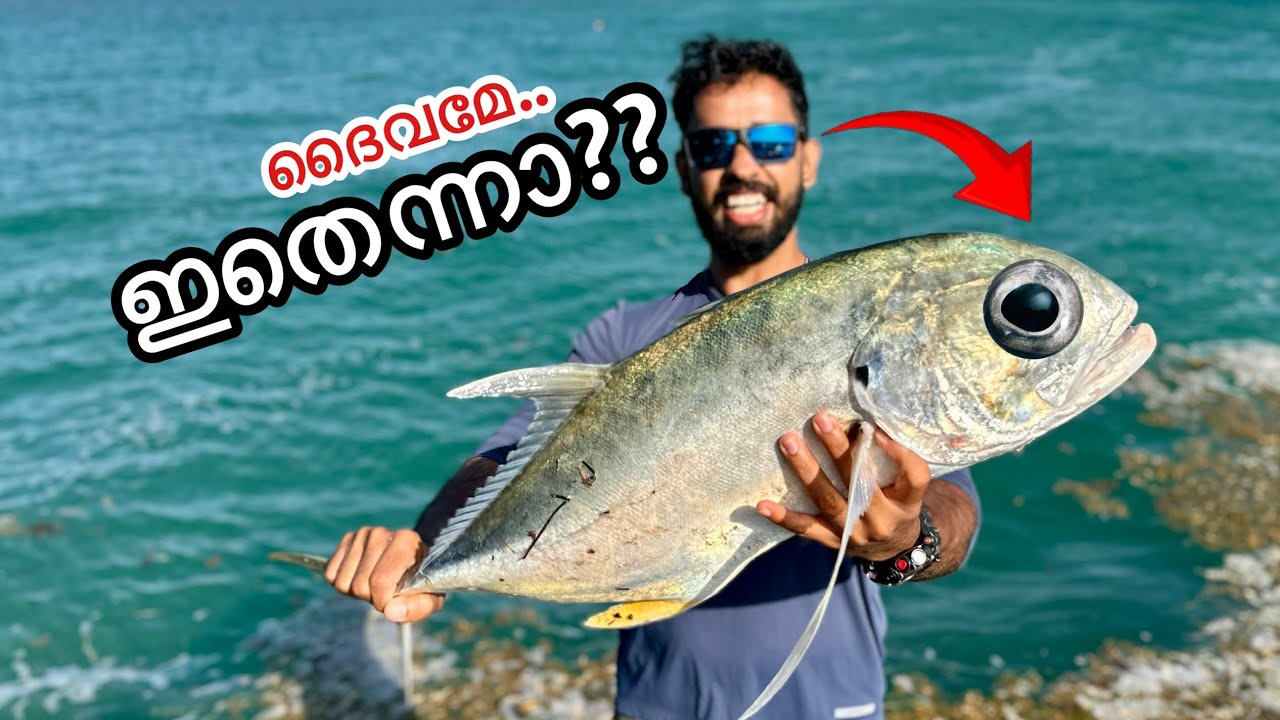 🇺🇸 അമേരിക്കൻ മീനിന്റെ കണ്ണും.. കപ്പയും...ആഹാ അടിപൊളി. | Sea fishing in USA | Kerala style fish curry