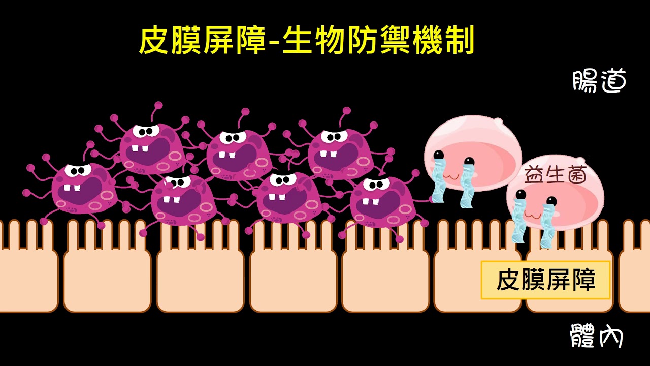 高三生物｜先天免疫