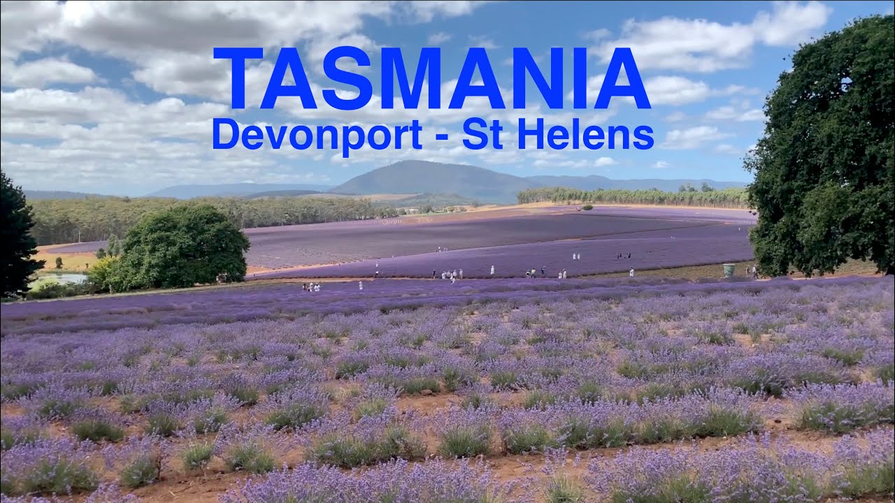 TASMANIA 1