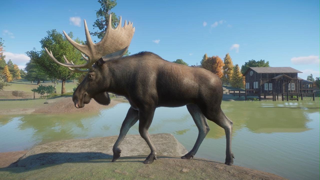 Planet Zoo North America Animal Pack: Moose