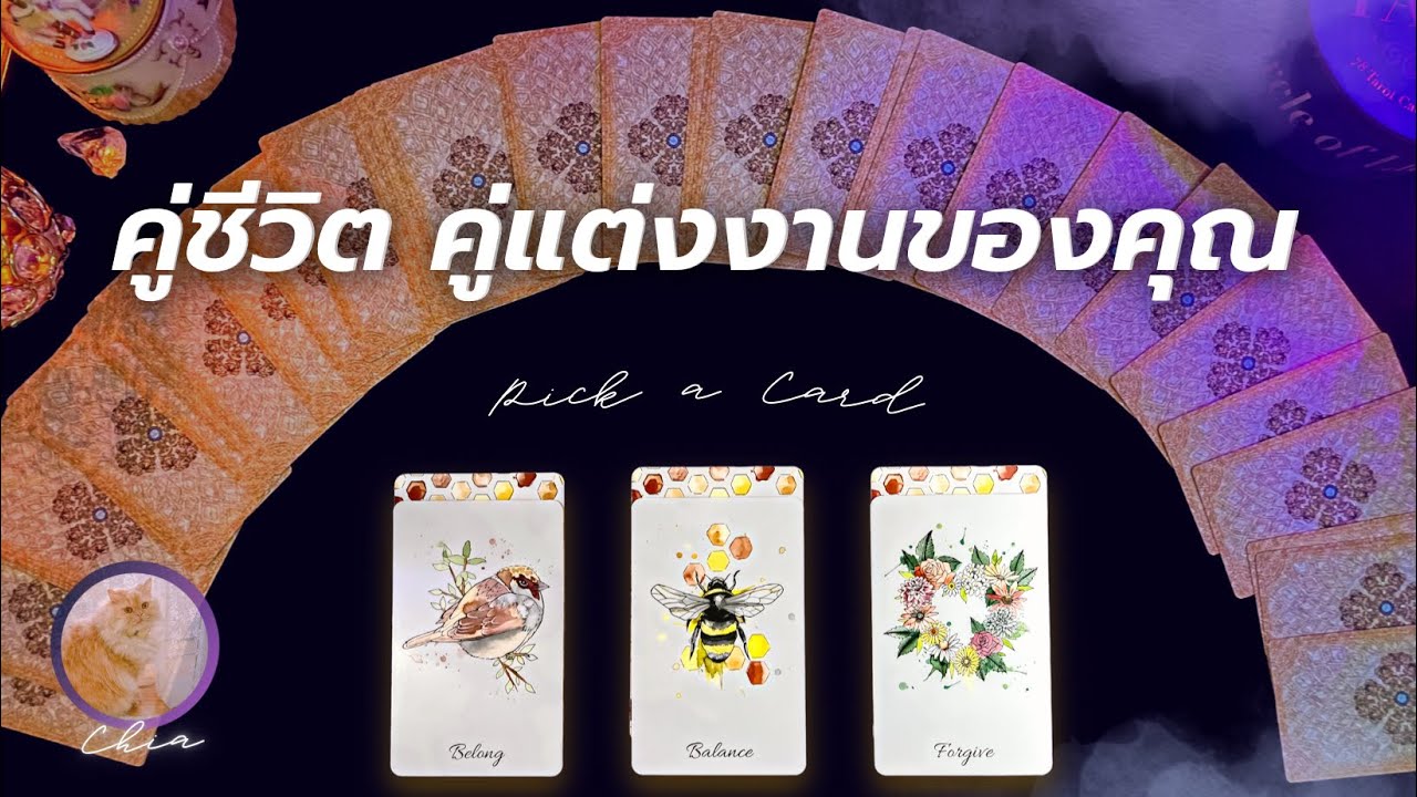 Pick a card คู่ชีวิต และ คู่แต่งงานของคุณ