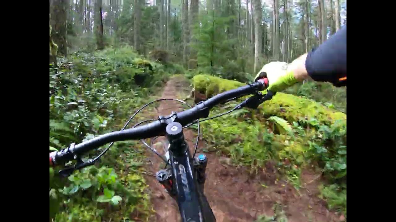 Silver Falls MTB: Upper Catamount