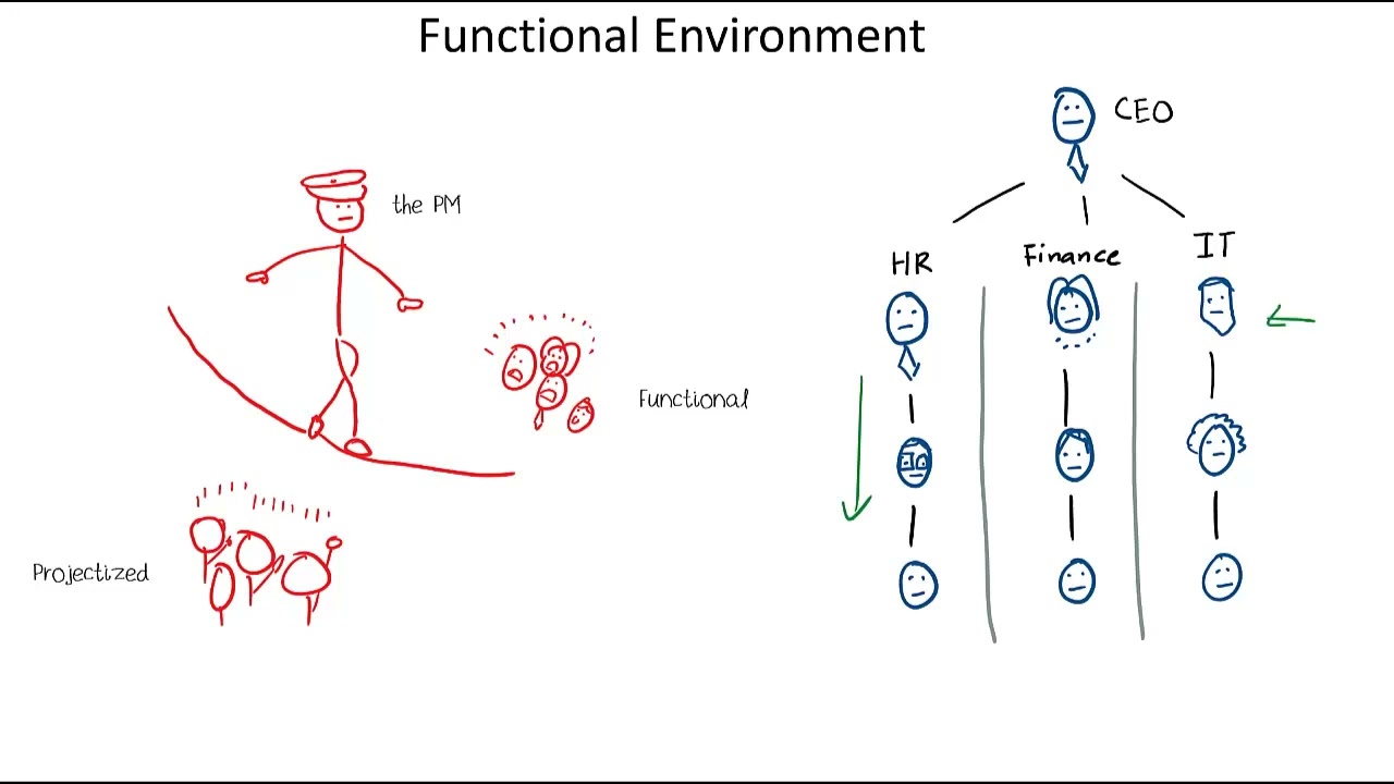 Project Management: Functional vs Projectized vs Matrix Organizations