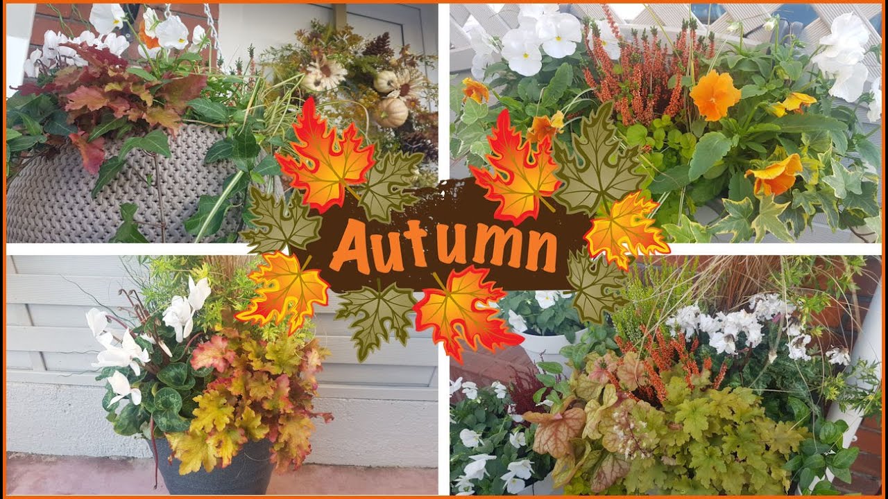 AUTUMN PLANTERS & BASKETS | 2023