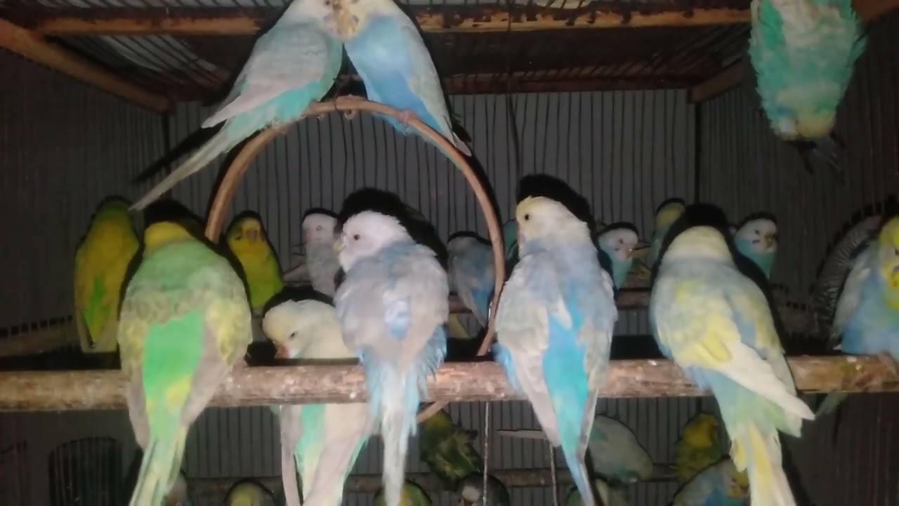 😍もっと早く買えばよかった…