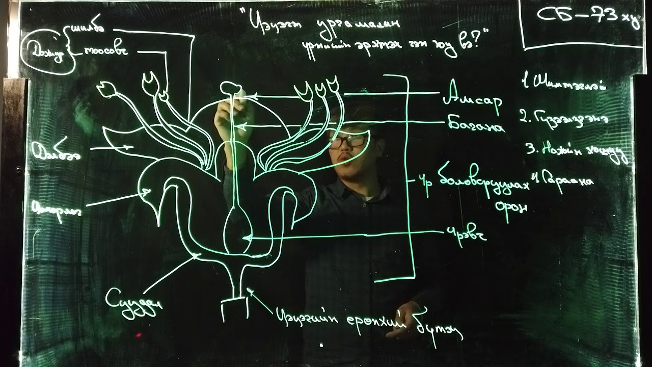 Номт наран сургууль - Хүн ба байгаль 