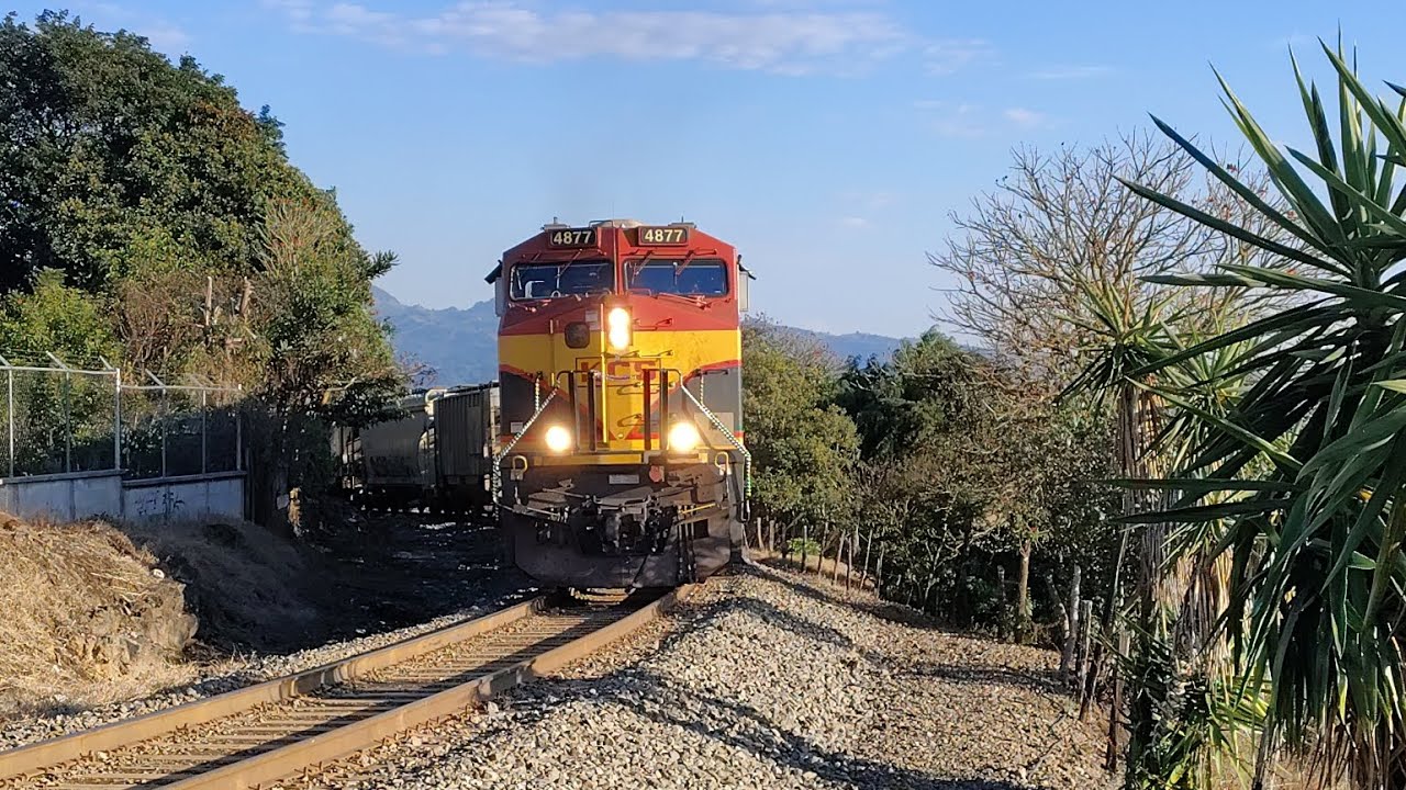 El M299 Veracruz México PK316