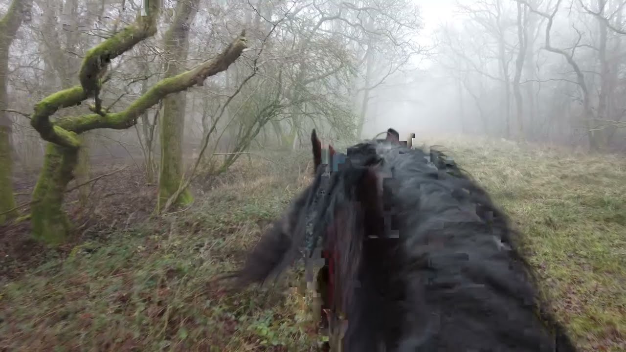ASMR Foggy Woods Ride 🌲💨 (4K)