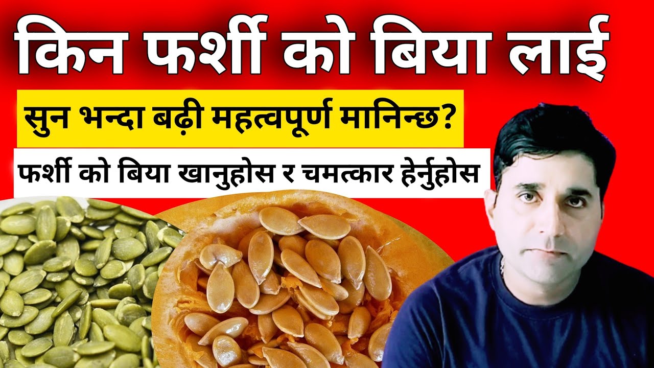 दैनिक फर्शी को बिया खानुको 10 आश्चर्यजनक फाईदा // benefits of pumkin seeds nepali //