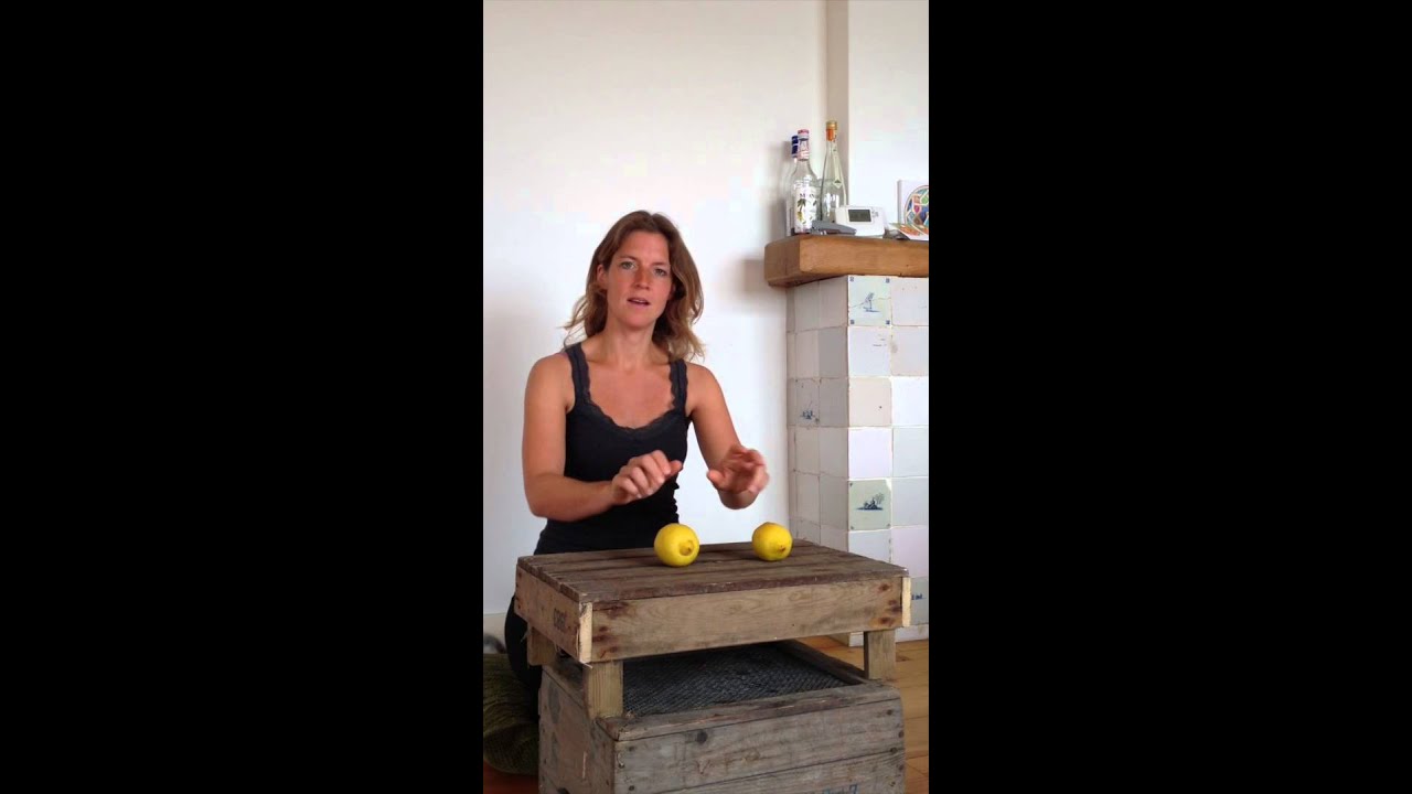 De Citrussong instructievideo