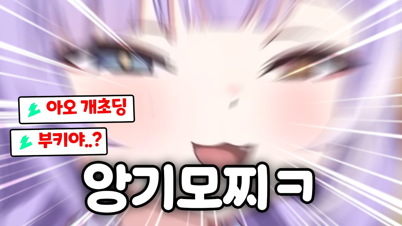 부키는 유명한 캥초딩임