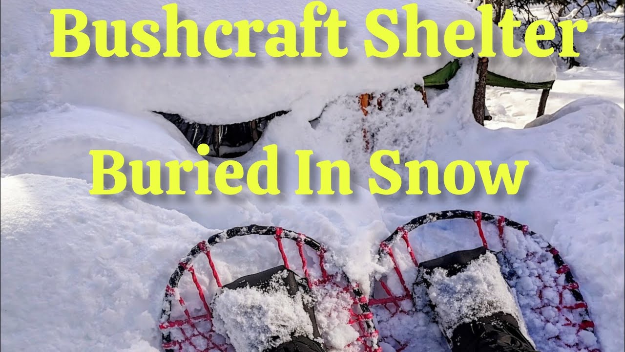 Checking On The Bushcraft Shelter Before The Next Snowstorm 