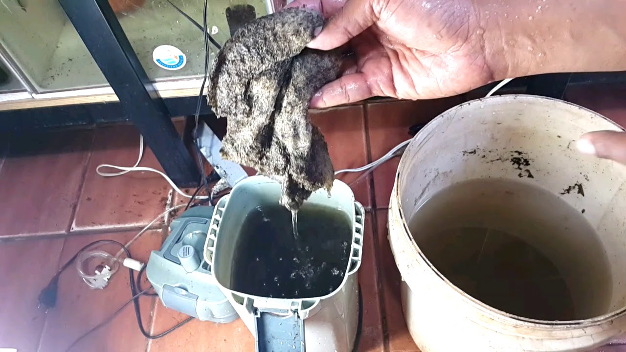 TPA e Limpeza do Canister HOPAR - CANISTER HOPAR É BOM?