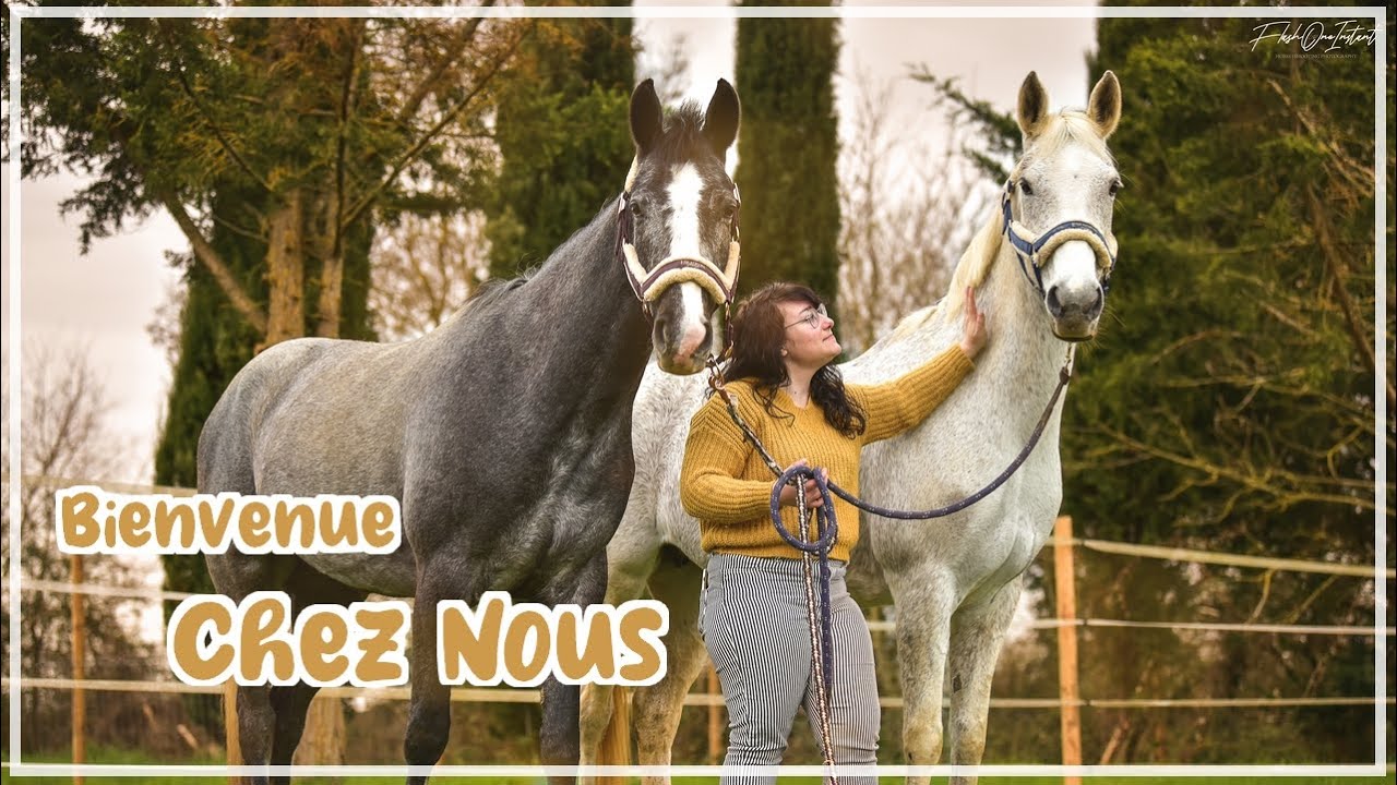 ÉCURIE TOUR - JE VOUS PRÉSENTE NOTRE NOUVELLE ÉCURIE