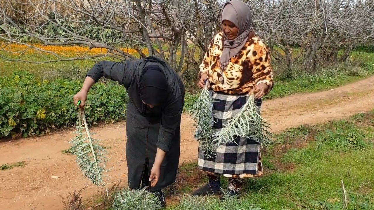 النشاط العلمي😂 لحم العنزي بالخرشف بطريقة الأخت ليلى