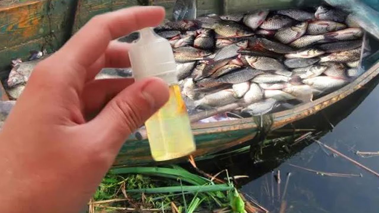 Самая ХИТРАЯ добавка - 100% Выловит ВСЮ рыбу! FISHERS IN SHOCK