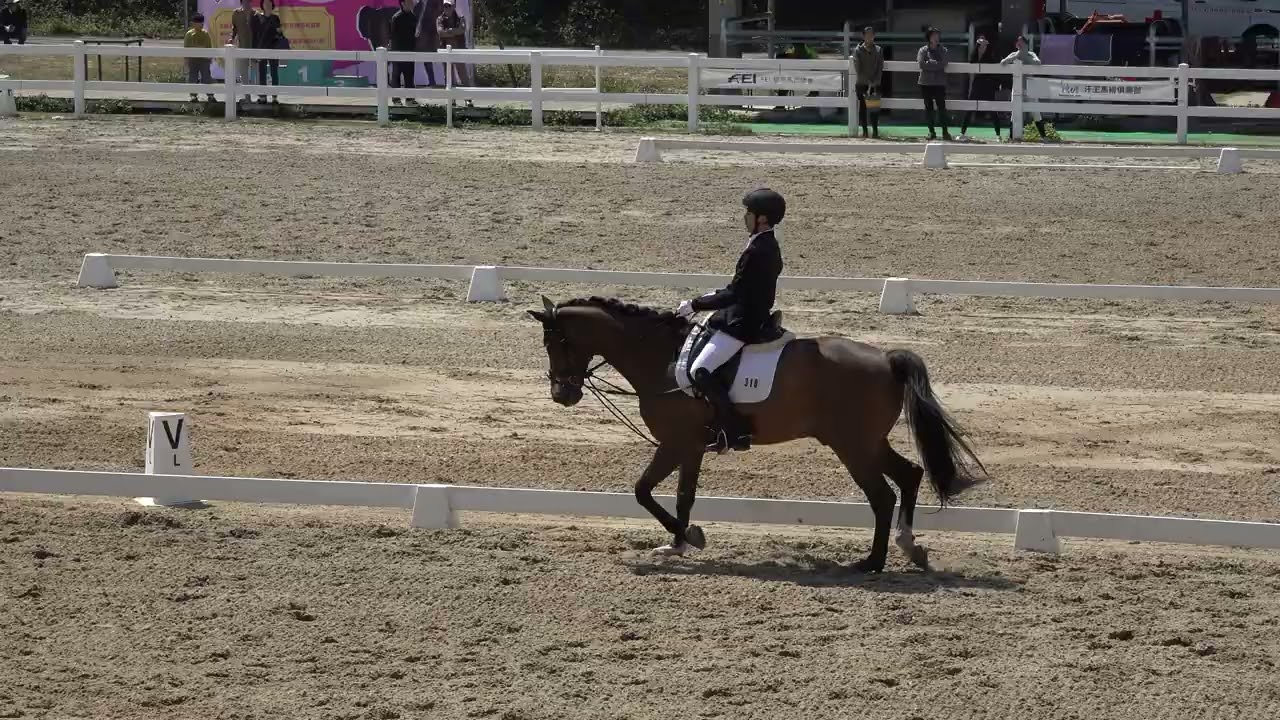 114學年度全國中等學校馬術錦標賽(馬場馬術) 國中組 Preparatory 曾靖宇