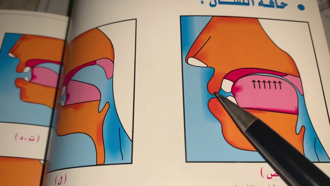 الطريقة الصحيحة لنطق حرف الضاد والأخطاء التي يجب ان نتجنبها عند نطق الحرف