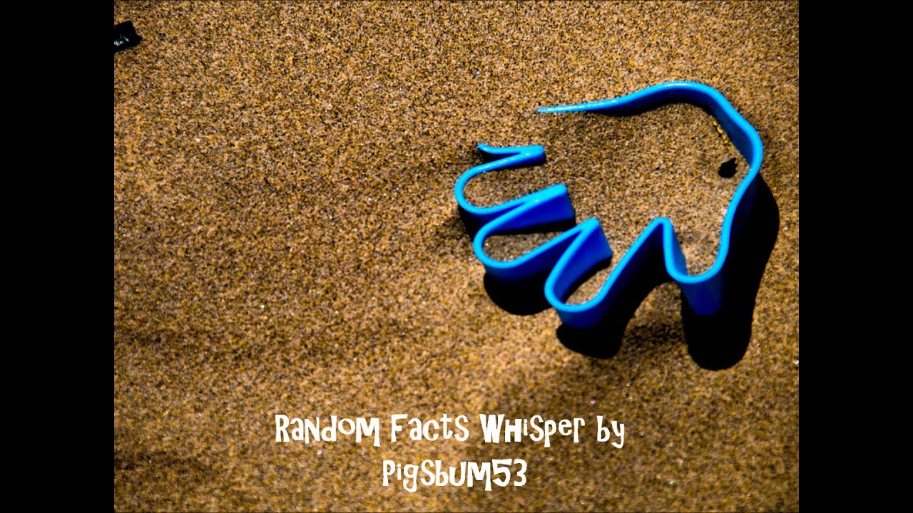 Random Facts Whisper ASMR