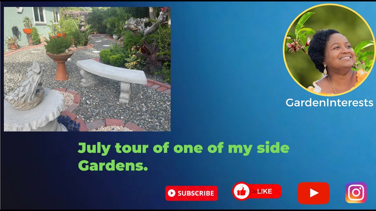 July tour of one of my side Gardens