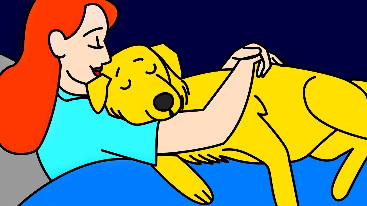 11 Proven Ways Dogs Say 
