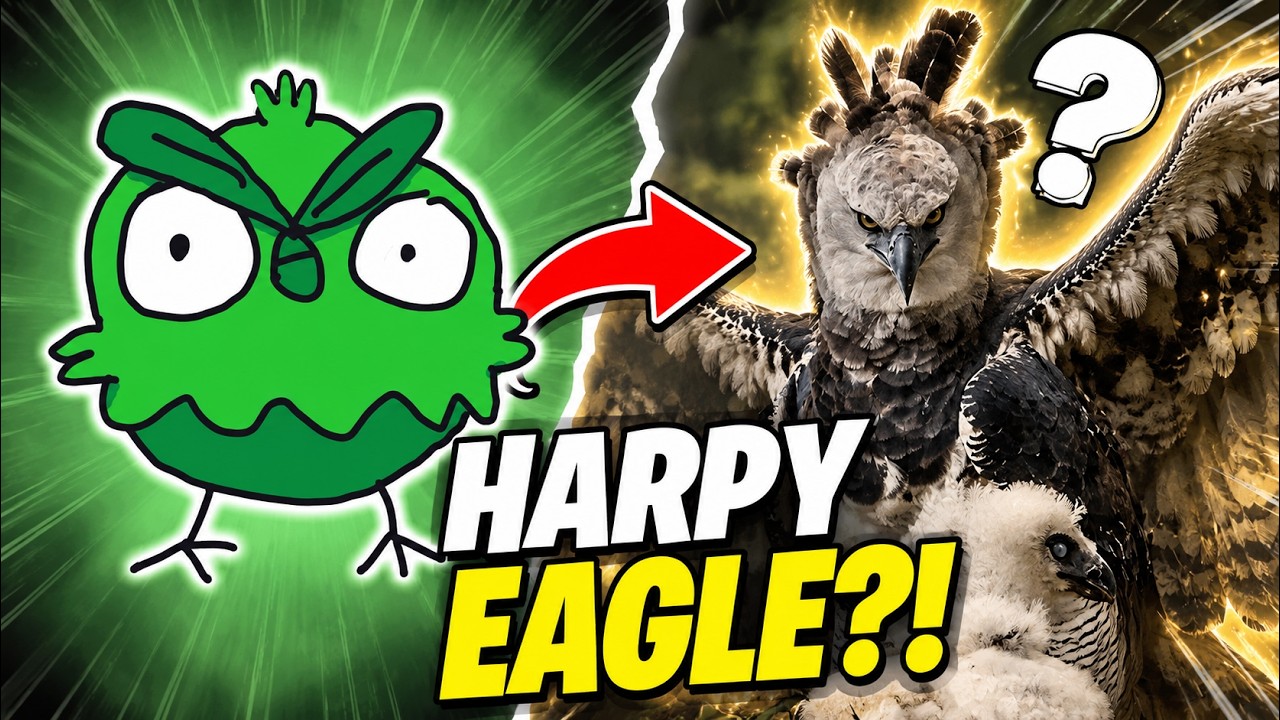 CRAZY BROWT EVOLUTION THEORY | Pok&eacute;mon Winds and Waves