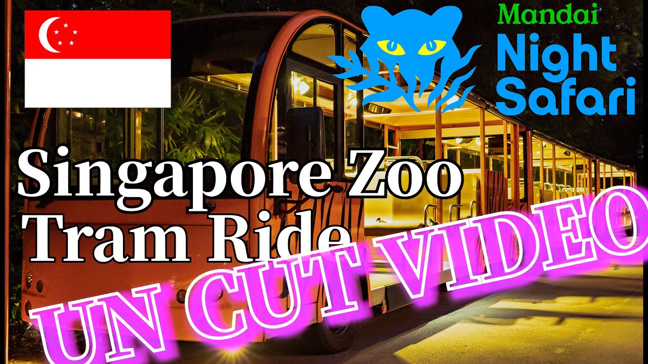 Singapore Night Safari Tram Ride &ndash; Full Uncut Experience | Too Dark to See?