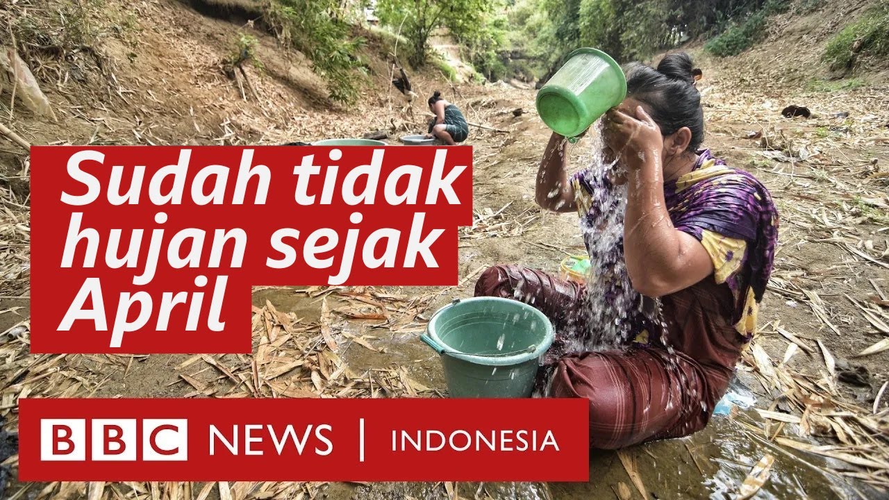 Kekeringan ekstrem di Jawa Tengah: Menggali tanah demi mendapat air bersih - BBC News Indonesia