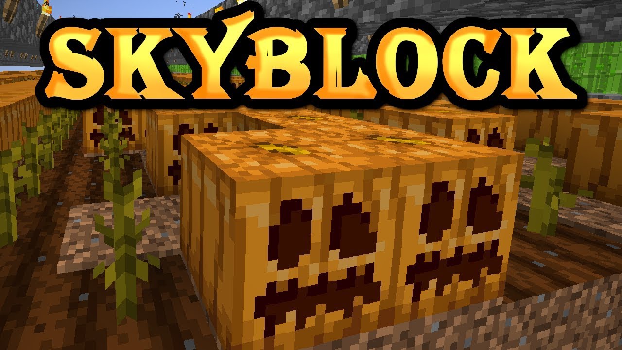 Hypixel SkyBlock [22] MASSIVE Pumpkin Farm