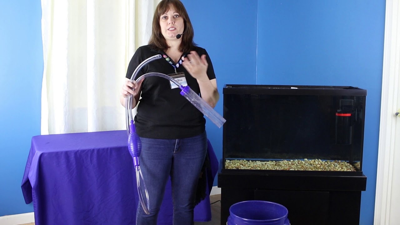 How to use a Siphon Gravel Cleaner - That Fish Place - That Pet Place