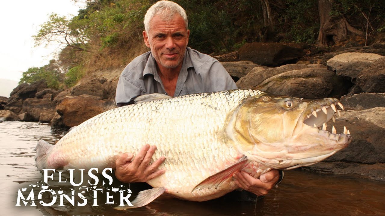Riesentigerfisch: Jeremy bekommt Hilfe von einem Hexendoktor | S2 E02 | Fluss Monster