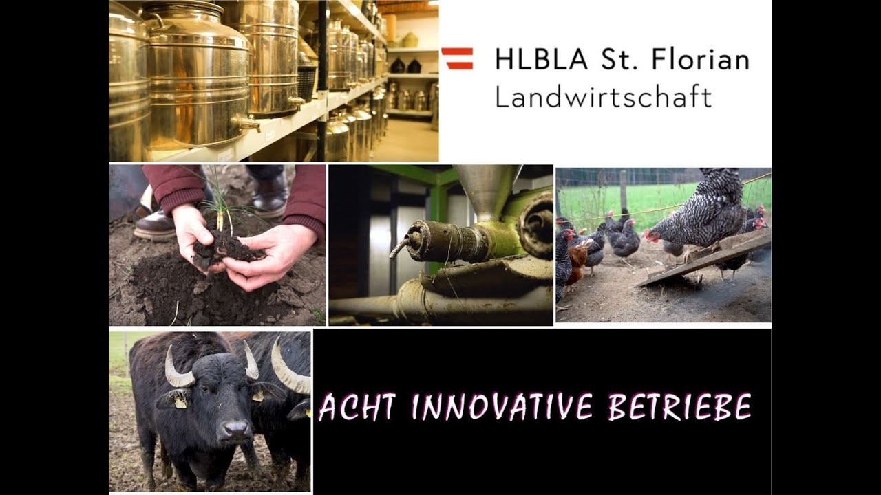 Innovative Betrieb Österreichs - HLBLA St. Florian