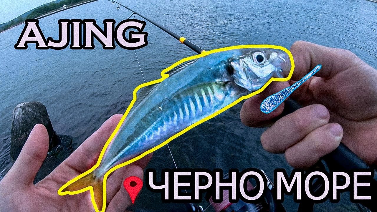 РИБОЛОВ НА САФРИД НА СИЛИКОН. AJING