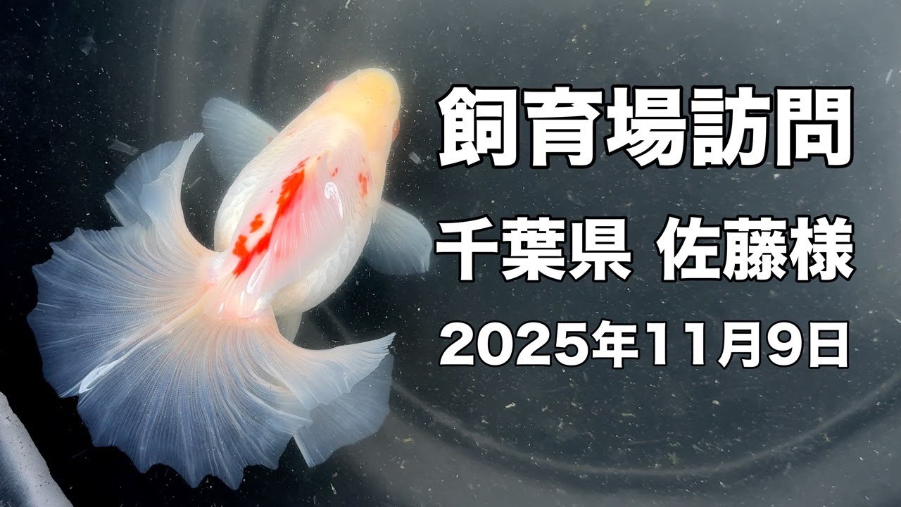 2025.11.09飼育場訪問　千葉県・佐藤様