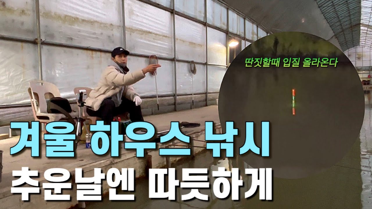 경기도 하우스 낚시터에서 손맛보기 생각보다 분위기 너무 좋았습니다 -백용낚시터- 
