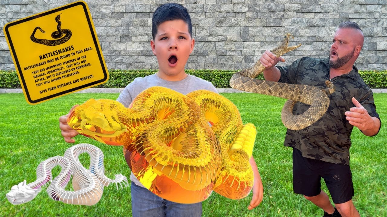 CALEB LEARNS ABOUT SNAKES with DAD! Dissect It Rattle Snake Super Lab Experiment TOY!