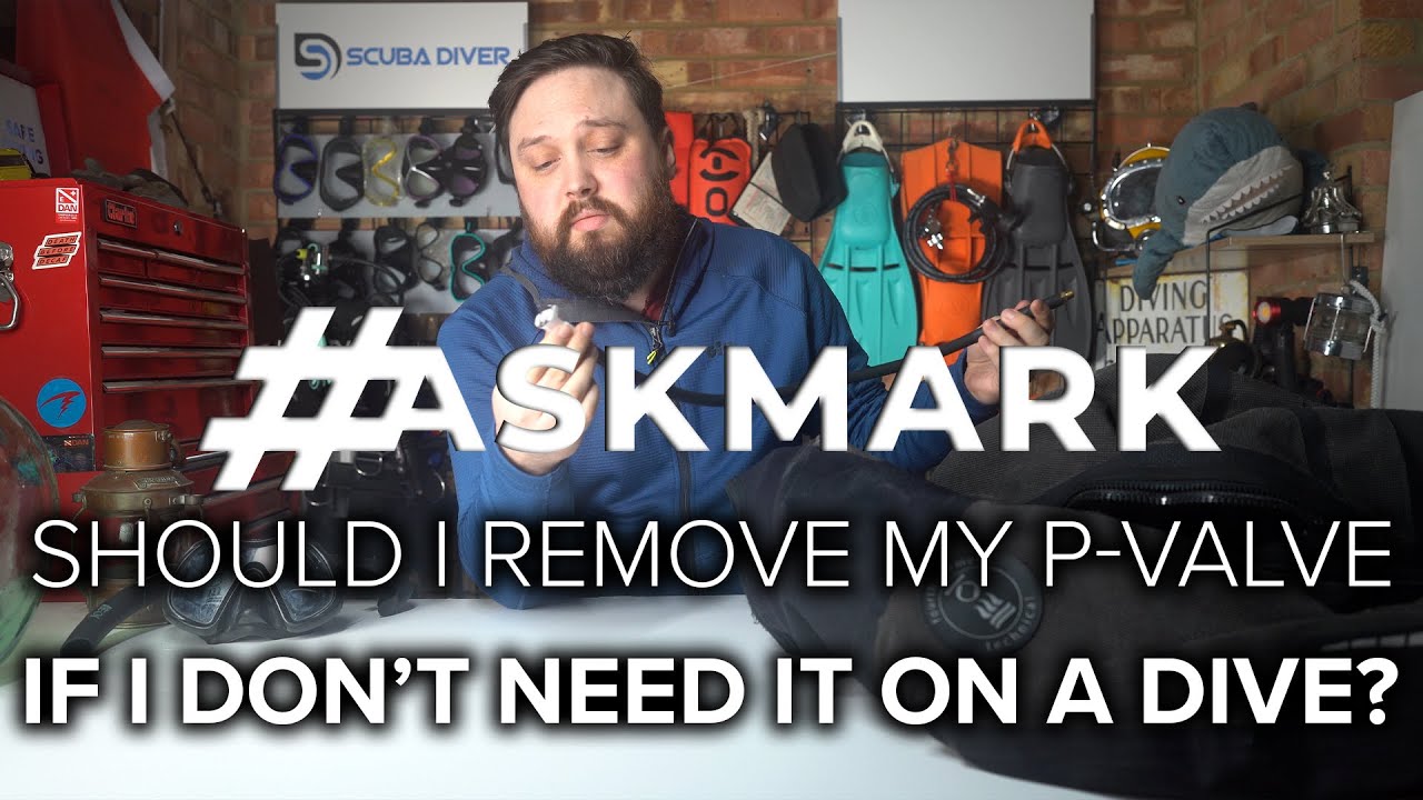 Стоит ли оставлять обратный клапан установленным? #AskMark