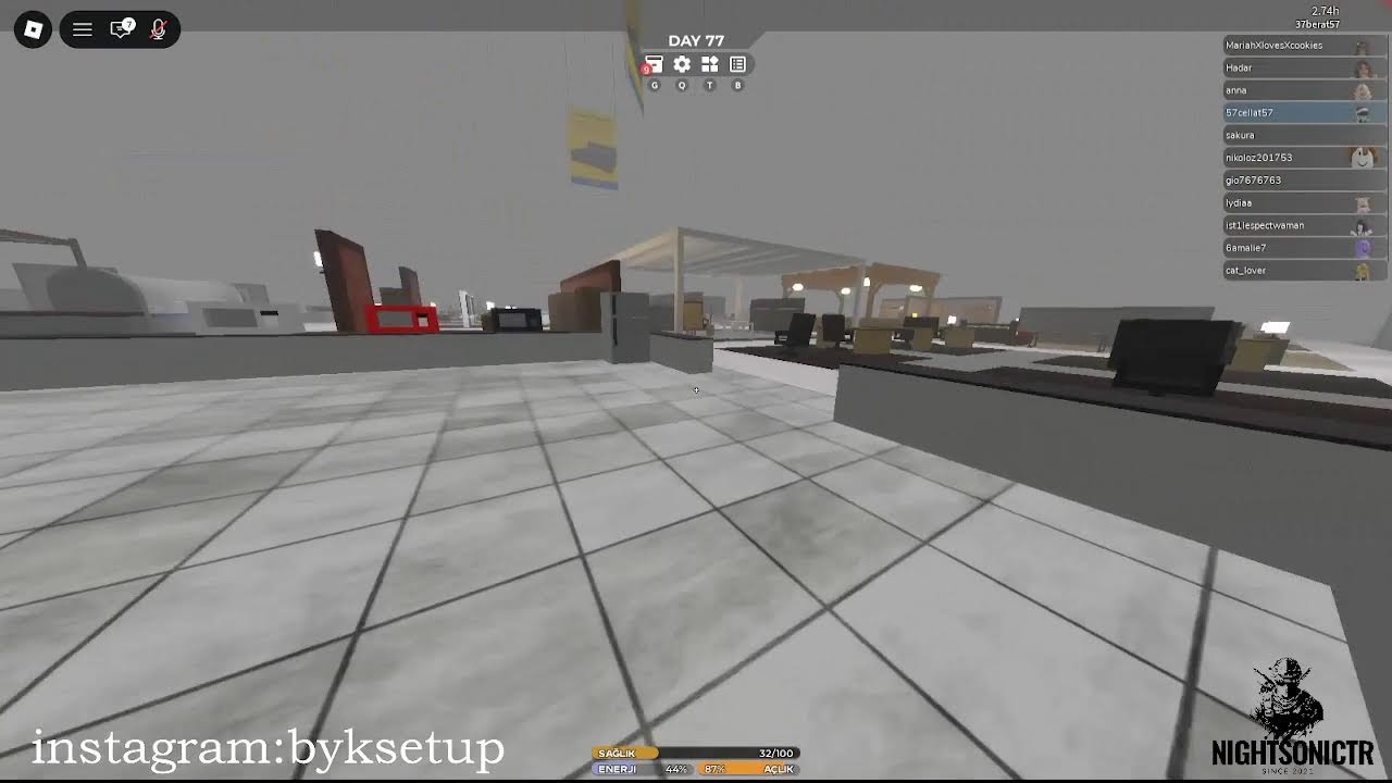 Roblox 3008 oynuyorum