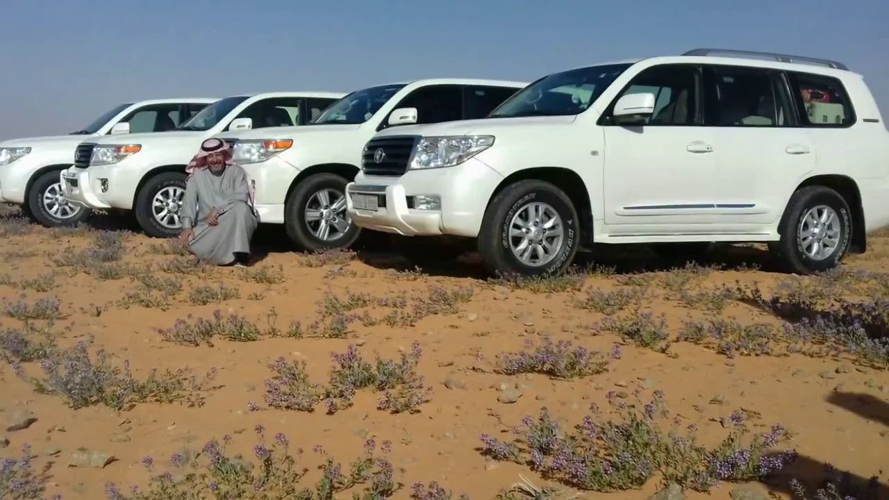 رحلة الشيخ سعد بن غصاب الشلوي لزيارة الشيخ سعد بن شبيب الشلوي عند أبله في الحدود الشماليه