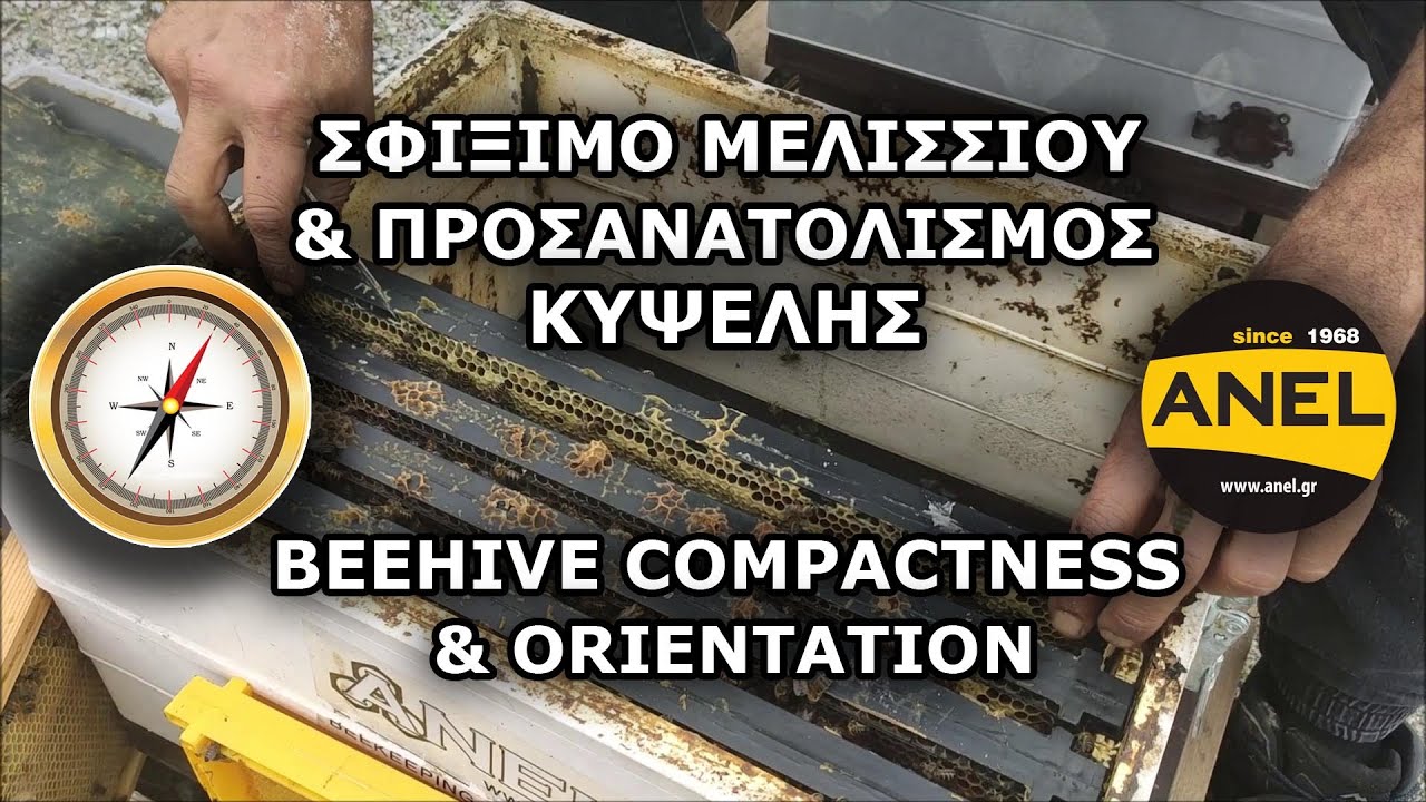 Σφίξιμο μελισσιού & προσανατολισμός πλαισίων κυψέλης | Μελισσοκομικοί Χειρισμοί