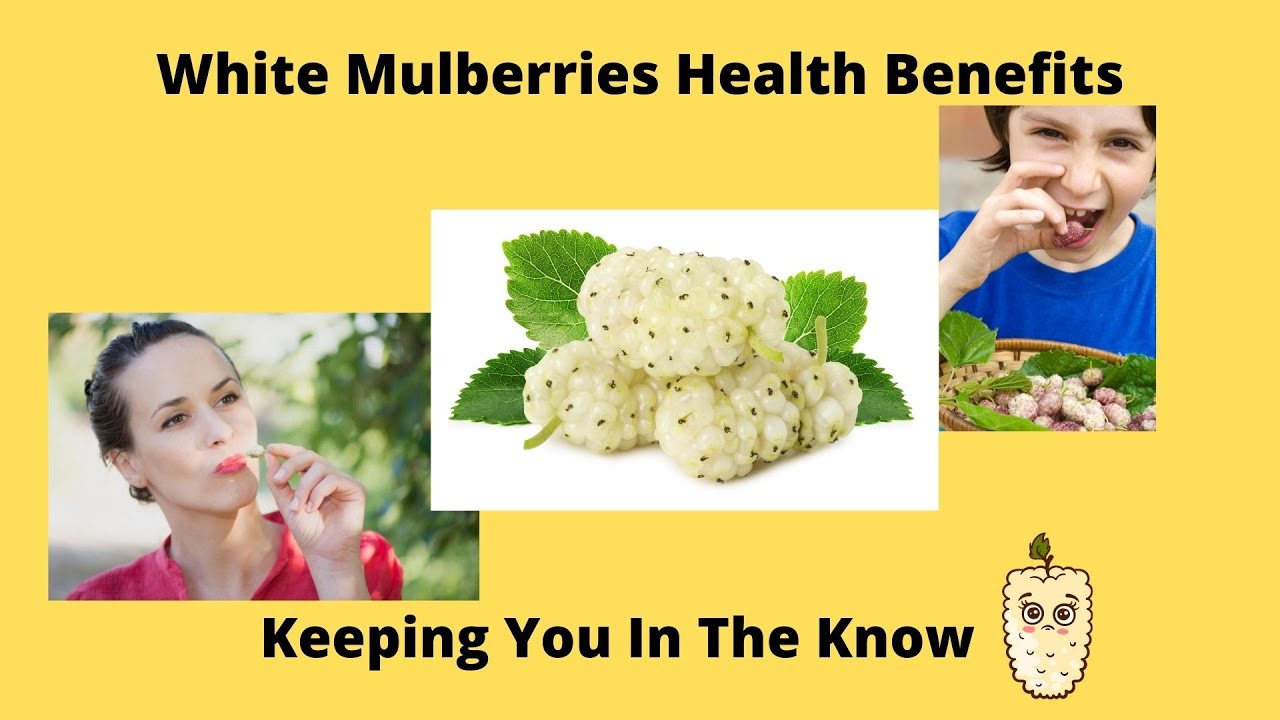 White Mulberries Health Benefits / Eve Keeps You In The Know Vlog