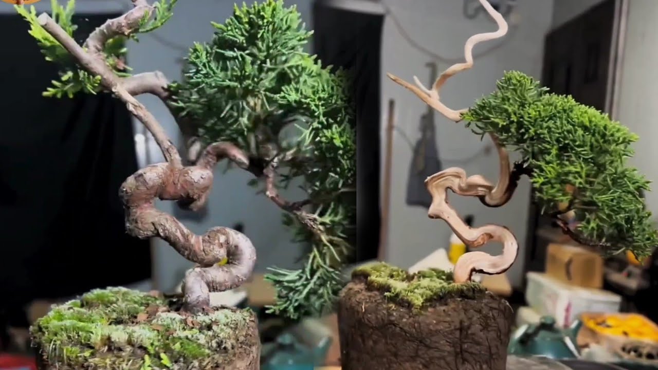 Carving wood to create bonsai