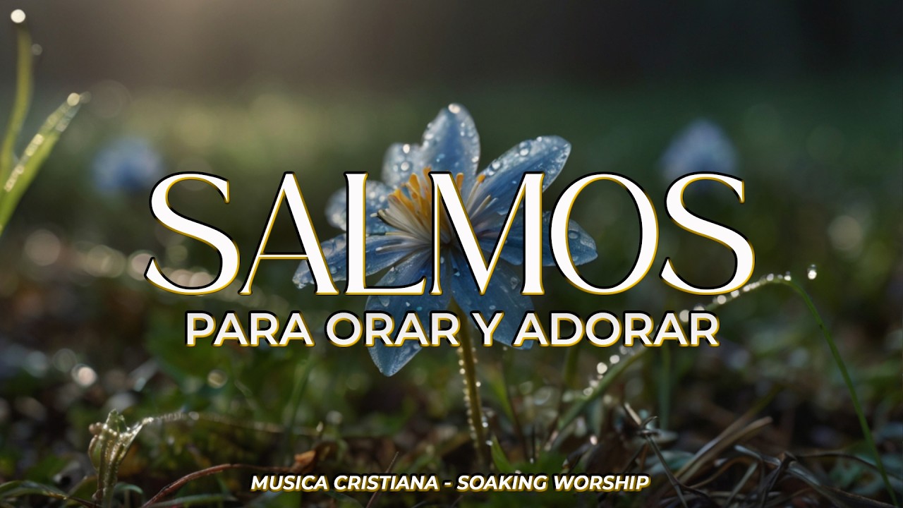 SALMOS CANTADOS 🙏🎶 | Para Orar y Adorar a Dios en Su Presencia ✨ | Paz y Comunión Espiritual