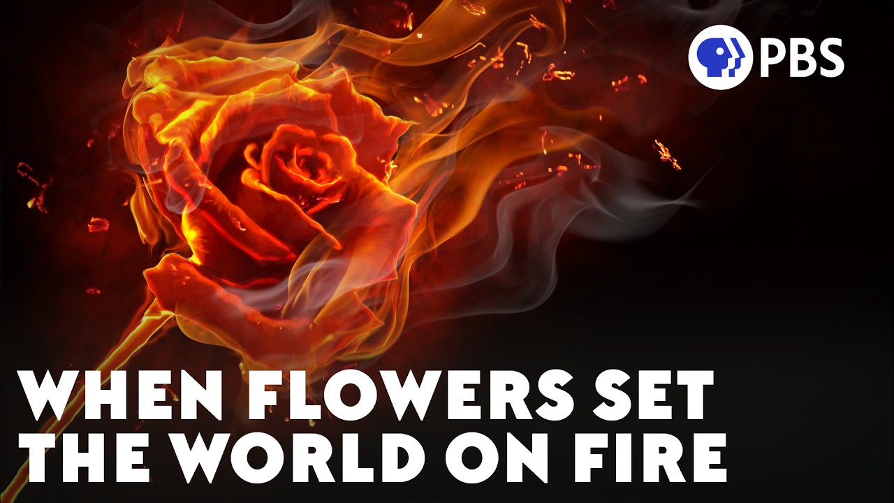 How Flowers Burned the World