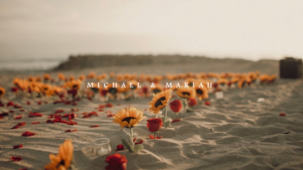 Sony A7ii SIGMA 30mm 1.4 Cinematic Footage (Michael and Mariah Engagement) Song On the Beach