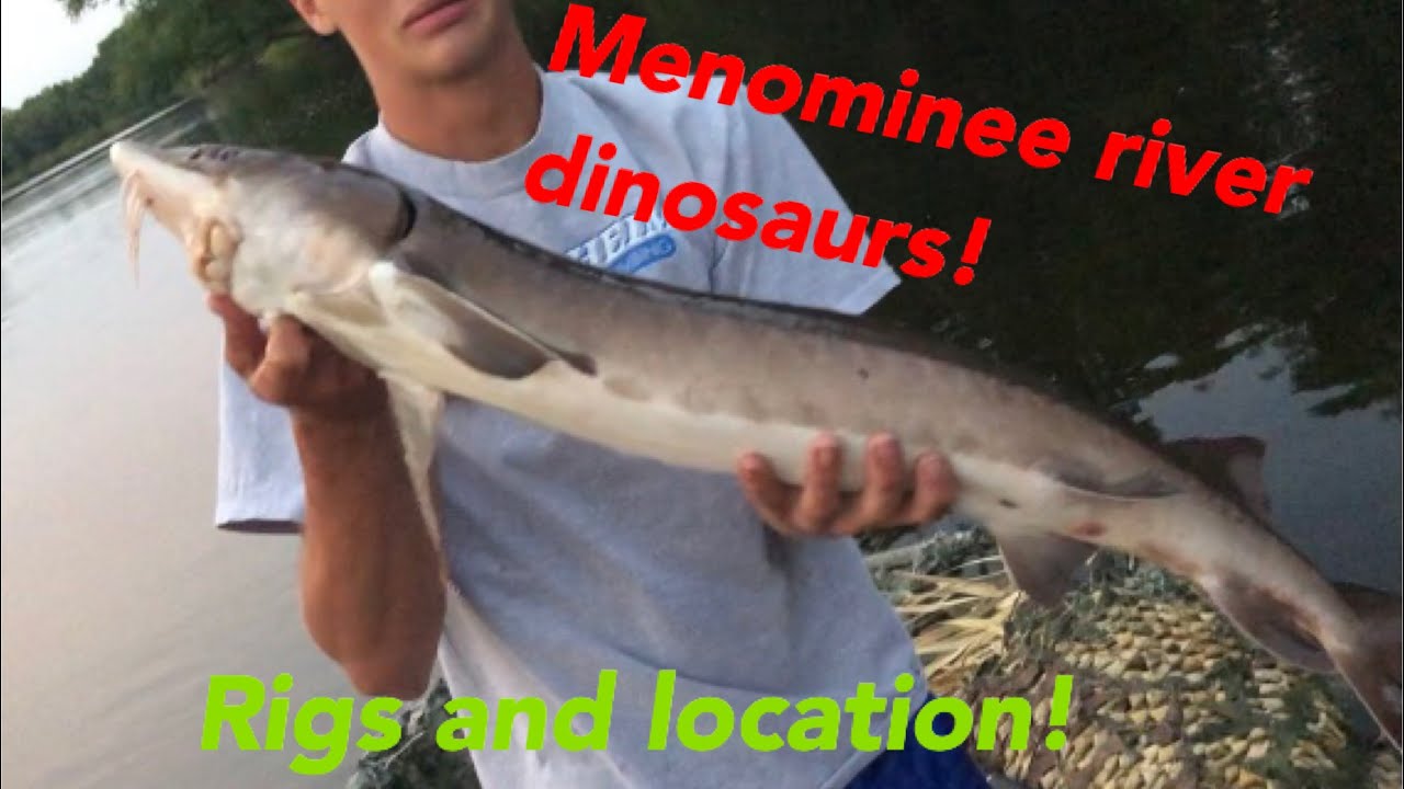 Sturgeon Fishing on the Menominee River