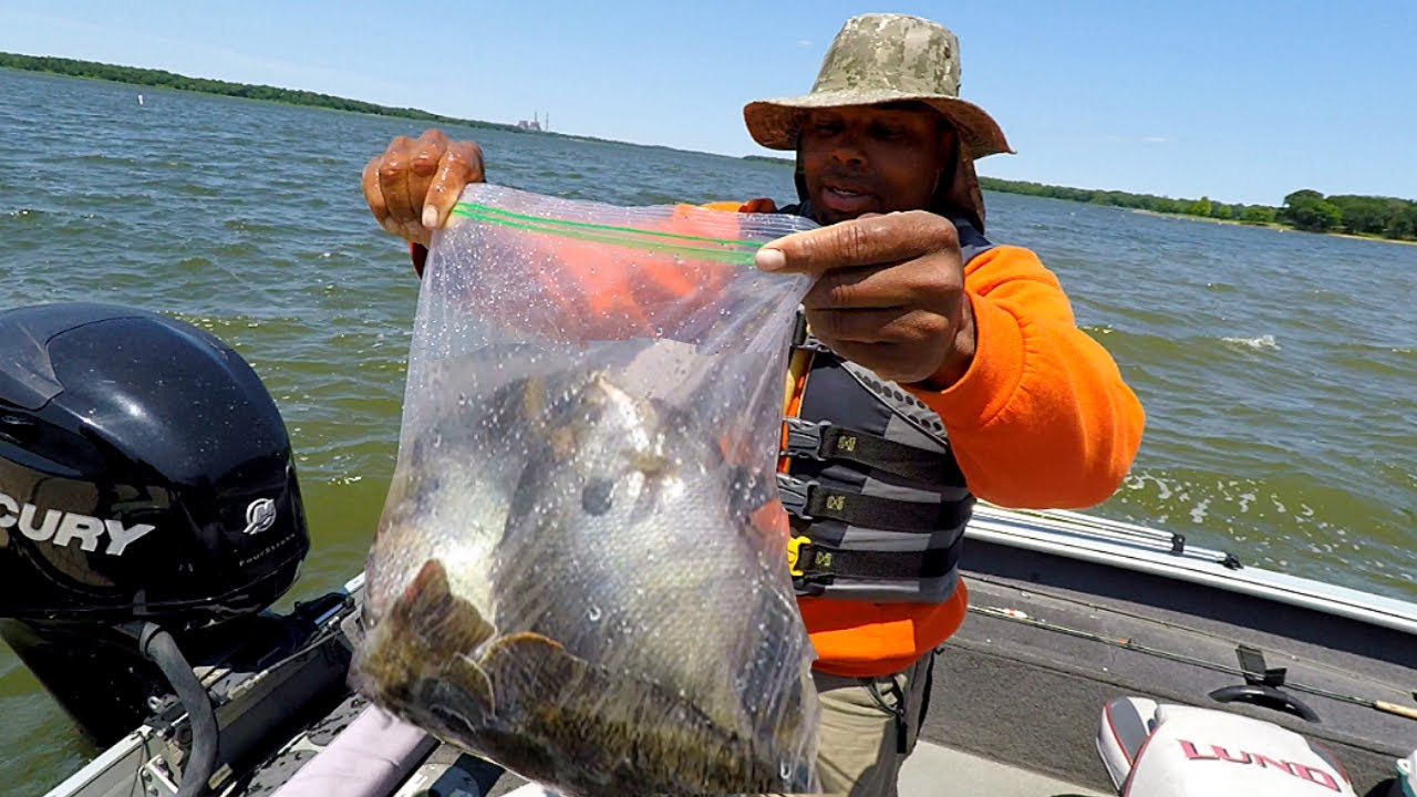 Insane 7 biggest Tournament Winning bluegills!!!